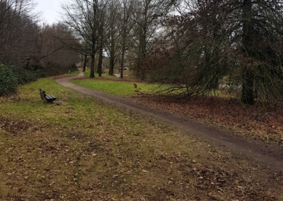 Meerjarig onderhoudsplan 3 stadsbossen – Gemeente Ede