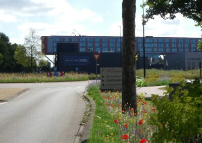 Biodiversiteitsplan bedrijventerreinen Veenendaal